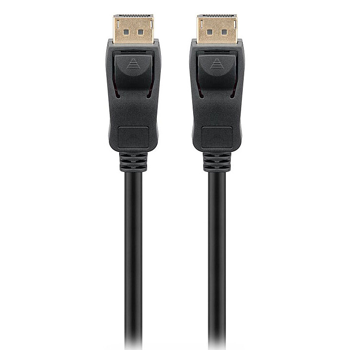 DisplayPort