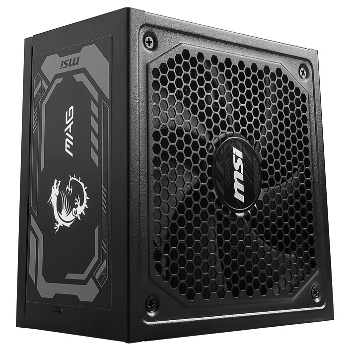 Avis MSI MAG A1000GL PCIE5