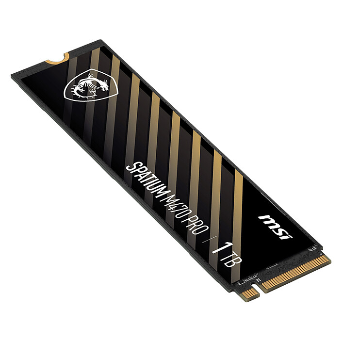 Acheter MSI Spatium M470 1 To