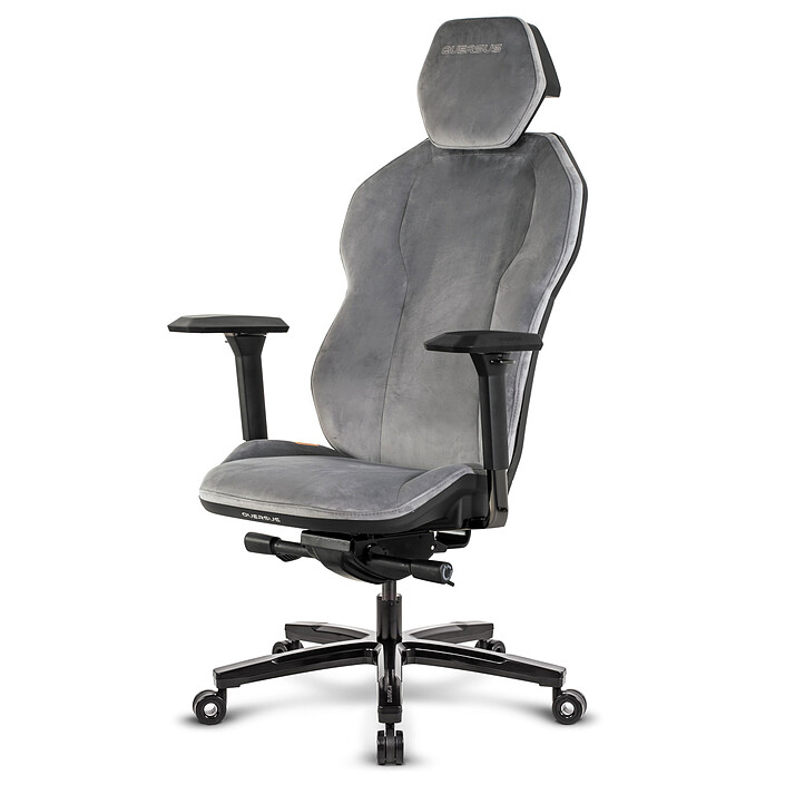 Avis Quersus ICOS 2.2 (Grey Mouse)