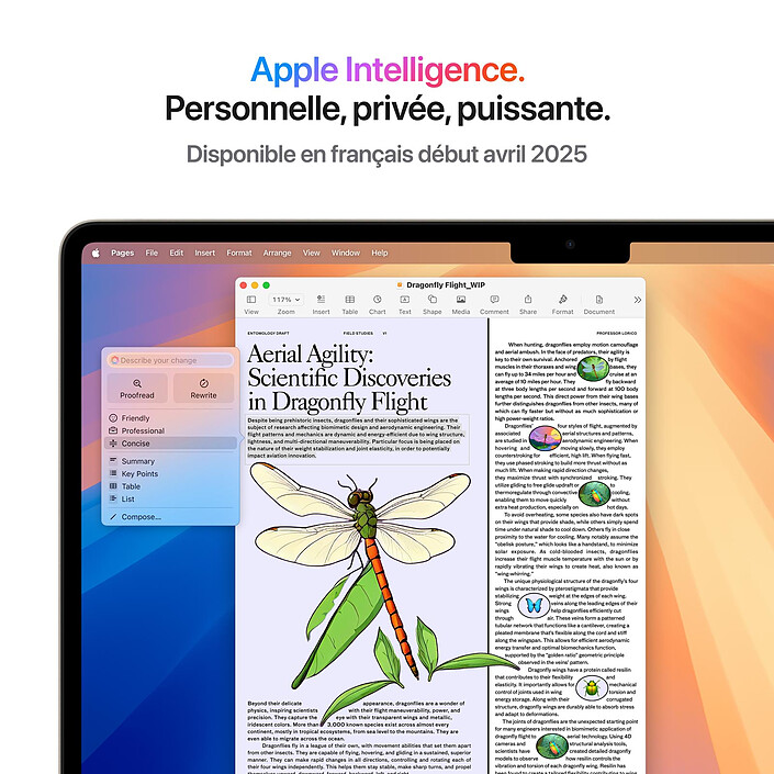 Acquista Apple MacBook Air M4 13 pollici (2025) Stellar Light 24GB/1TB (MC6A4FN/A-1TB) 