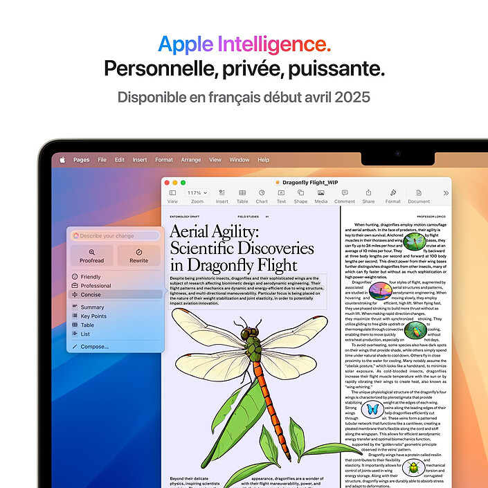 Acheter Apple MacBook Air M4 15 pouces (2025) Lumière stellaire 16Go/1 To (MW1J3FN/A-1TB)