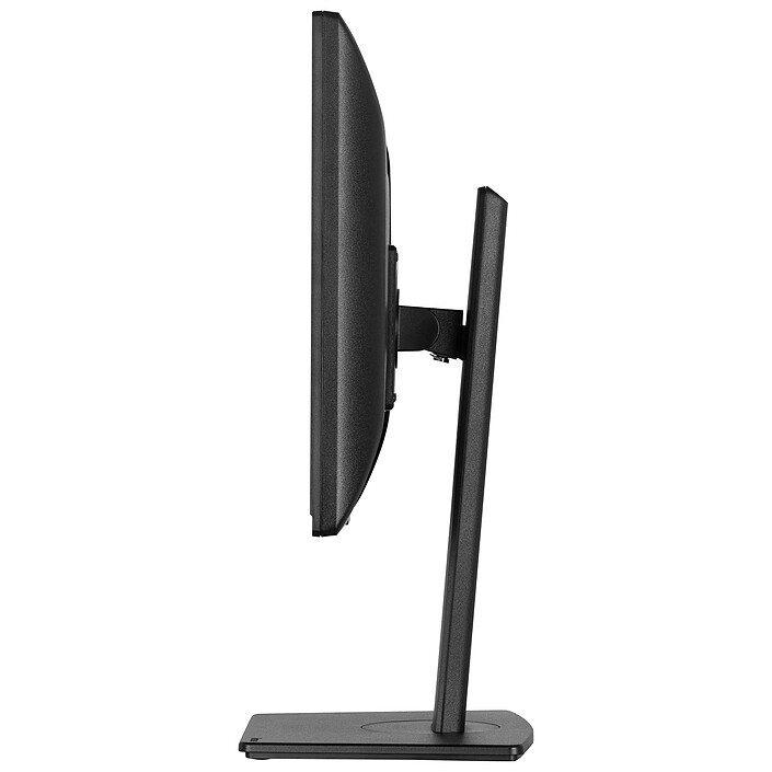 Opiniones sobre iiyama 19" LED - ProLite B1980S-B1