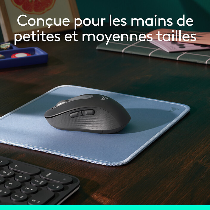 Avis Logitech M650 (Graphite)