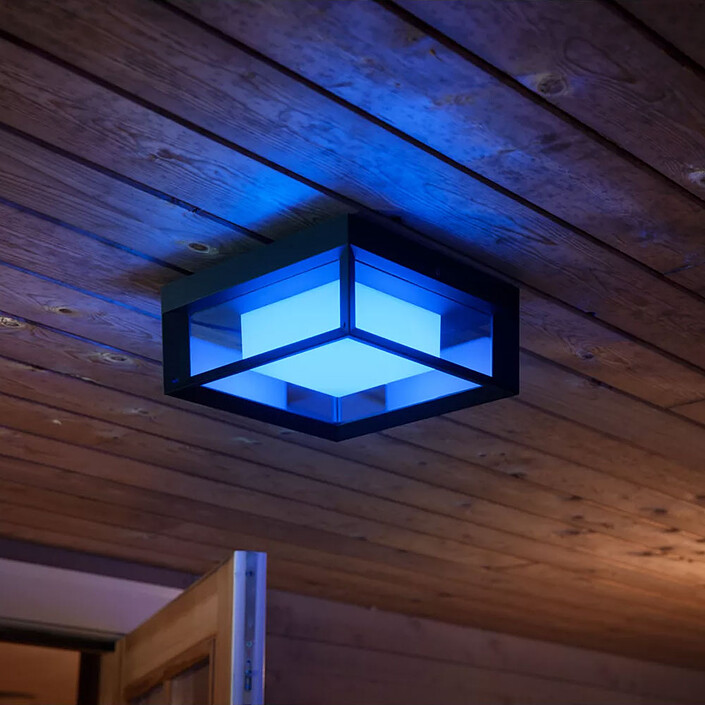 Buy Philips Hue Econic outdoor wall light
