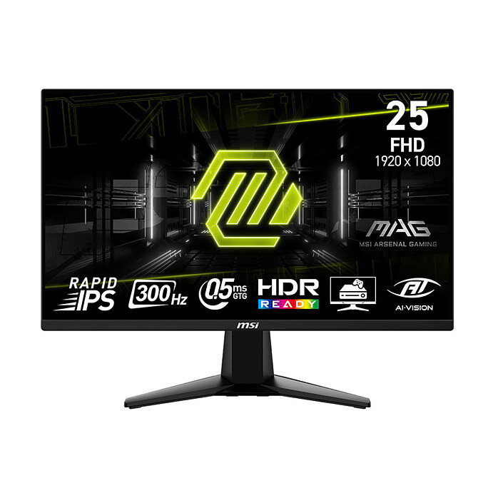 MSI 24,5" LED - MAG 255XF