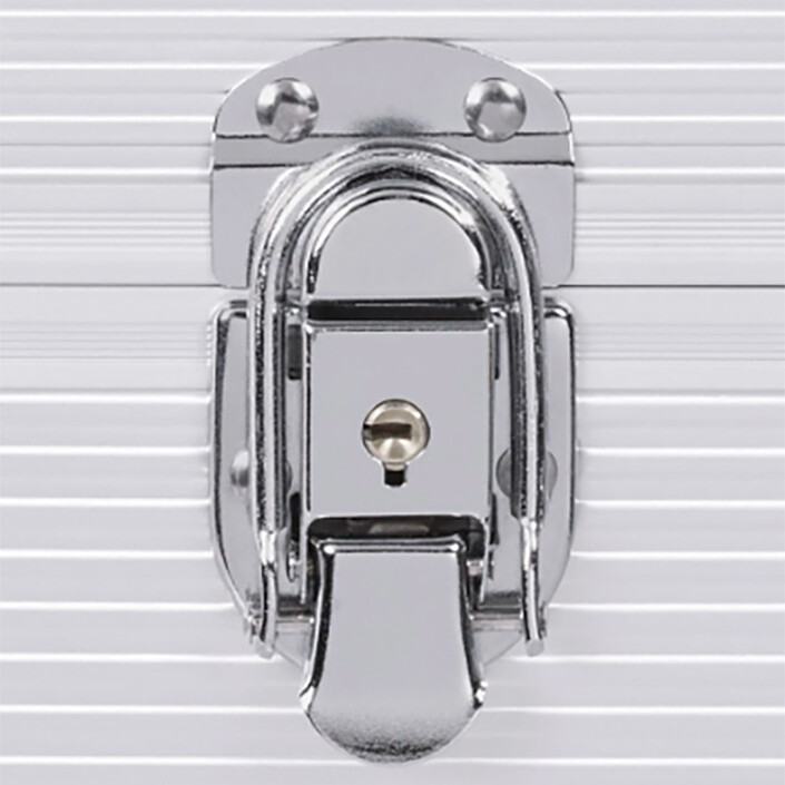 Comprar Estuche Hama LP 50, aluminio/silver look