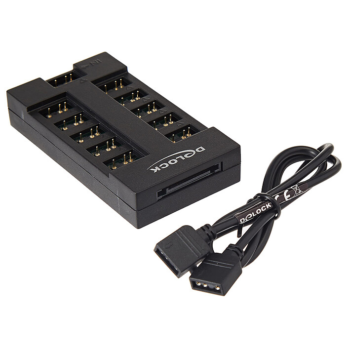 Delock 10-Port RGB Hub