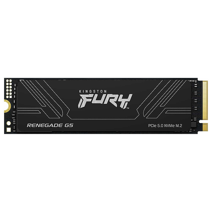 Kingston FURY Renegade G5 8TB