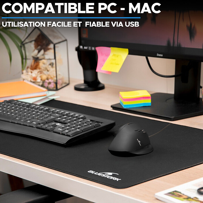 Acquista Bluestork Mouse ergonomico a filo