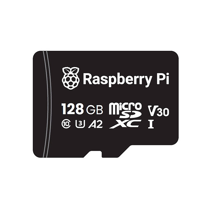 Raspberry Carte micro-SD 128 Go avec Noobs