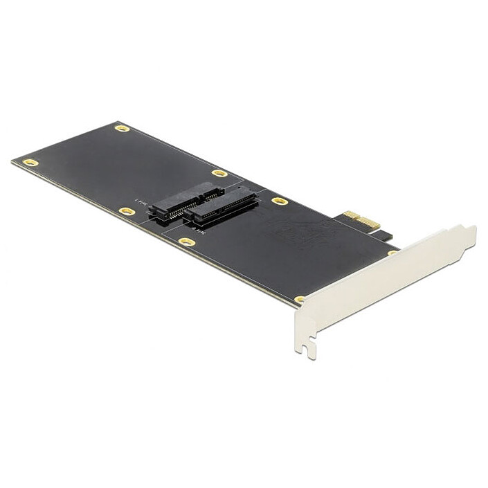 Scheda controller PCI Express DeLock per 2 unità SATA 6 Gbps da 2,5"