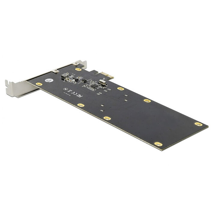 Acquista Scheda controller PCI Express DeLock per 2 unità SATA 6 Gbps da 2,5"
