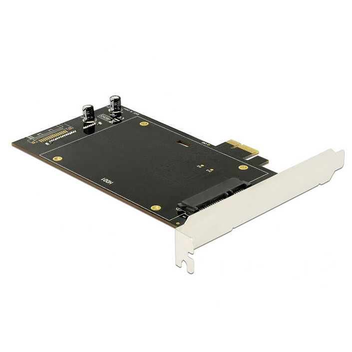 Scheda controller PCI Express DeLock per 2 unità SATA 6 Gbps da 2,5"