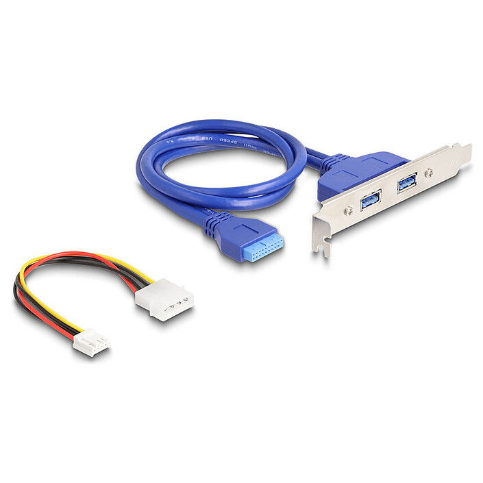 Acheter DeLock Adaptateur M.2 Key B+M vers 2x USB 3.0