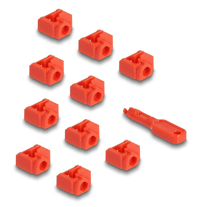 DeLock Lot de 10 bloqueurs de Port RJ45