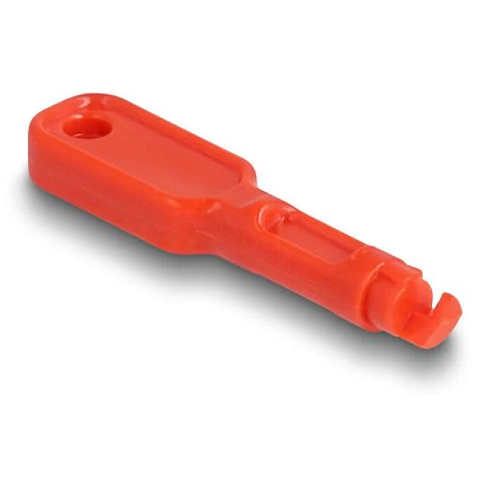 Avis DeLock Lot de 10 bloqueurs de Port RJ45