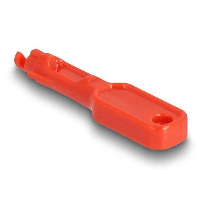 Acheter DeLock Lot de 10 bloqueurs de Port RJ45