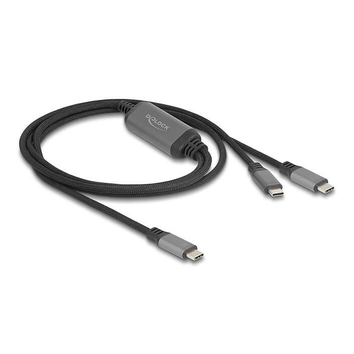 DeLock Câble de recharge 1x USB-C vers 2x USB-C avec Power Delivery 3.0 100W 5A de 1.2 m - Noir