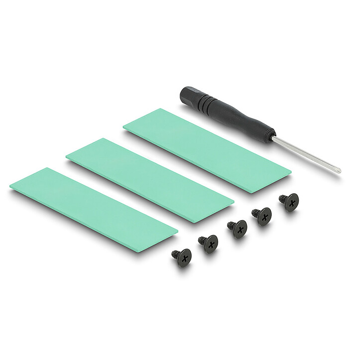 Acheter DeLock Dissipateur de chaleur pour module M.2 SSD 2280 Noir