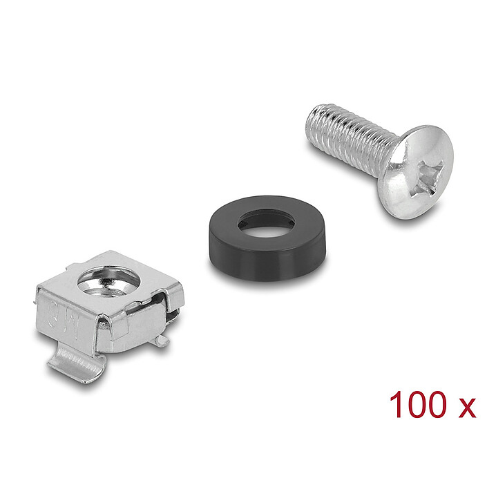 DeLock rack mounting kit with 100 M6 screws, 100 M6 nuts and 100 plastic washers