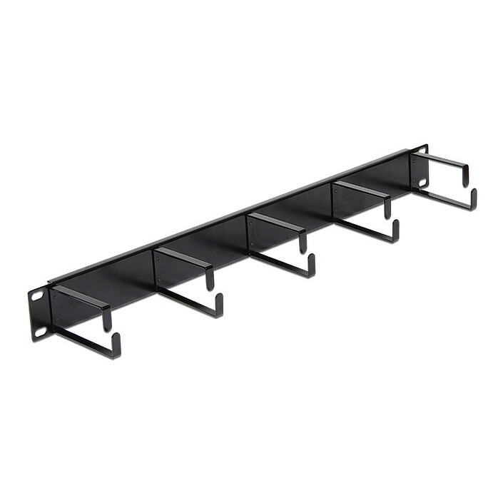 DeLock Guide-câbles pour armoire réseau 19" - Noir