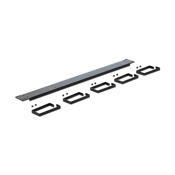 Avis DeLock Guide-câbles pour armoire réseau 19" - Noir
