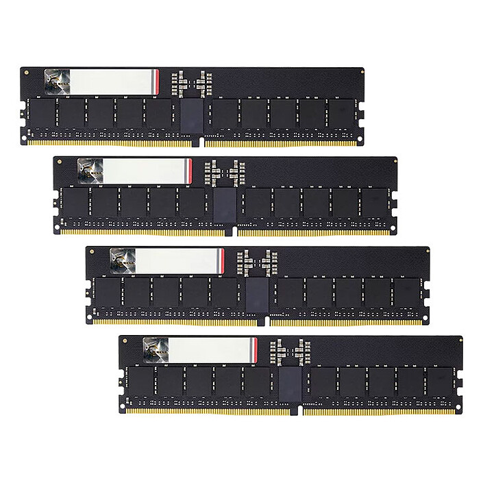 G.Skill G5 Neo 192 GB (4 x 48 GB) DDR5 ECC Registered 6000 MHz CL30