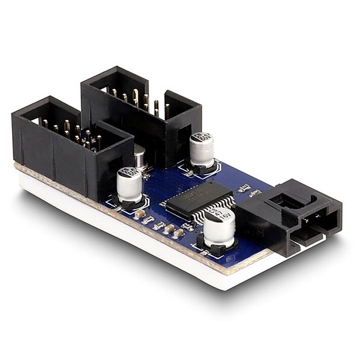 Delock Extension 2 ports USB 2.0 internes