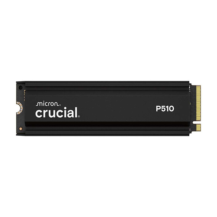 Crucial P510 1TB 2280 - Con dissipatore