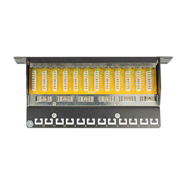 Nota DeLock 10" 1U 12-Port RJ-45 Cat.6 Patch Panel