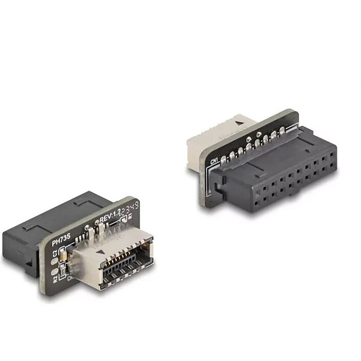 DeLock Adaptateur 19 broches vers Type-E Key A