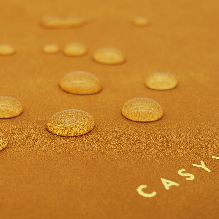 Avis Casyx Pochettes Ordinateur 13" Atelier Camel