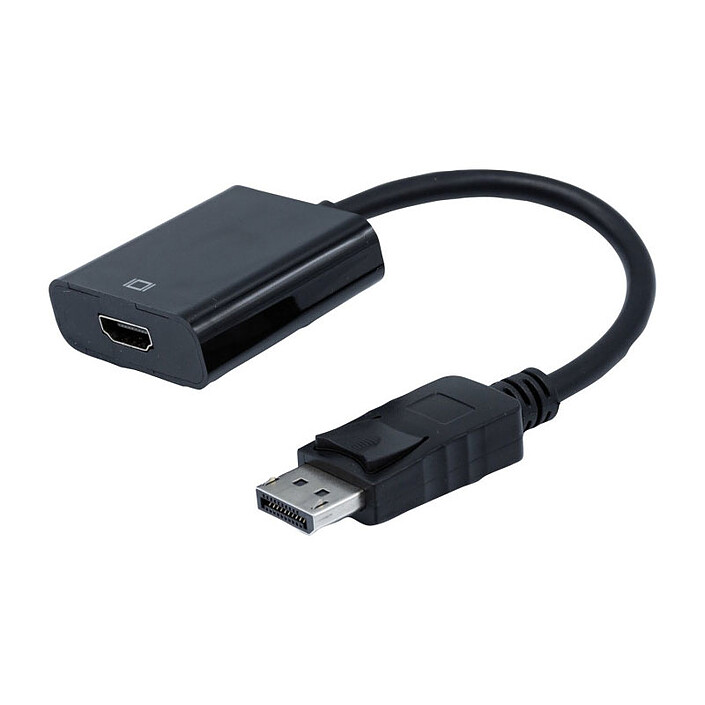 Convertisseur DisplayPort / HDMI