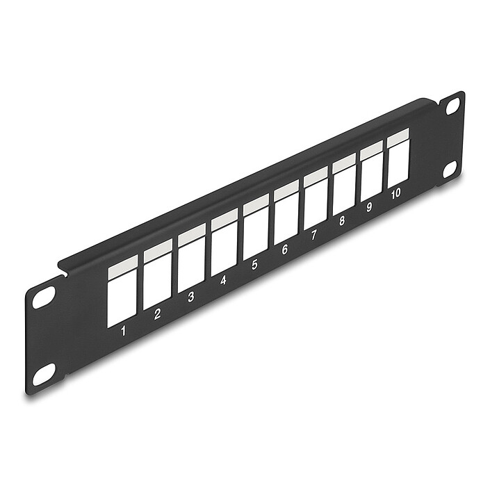 DeLock Panneau 10" 1U 10 ports Keystone