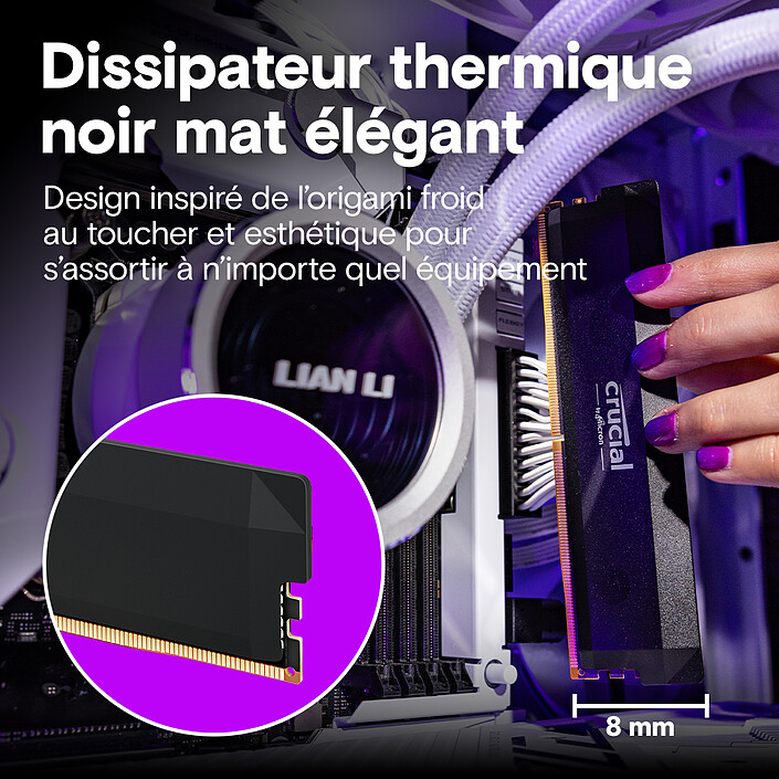 Buy Crucial Pro DDR5 Overclocking 32 GB (2 x 16 GB) 6000 MHz CL36 White