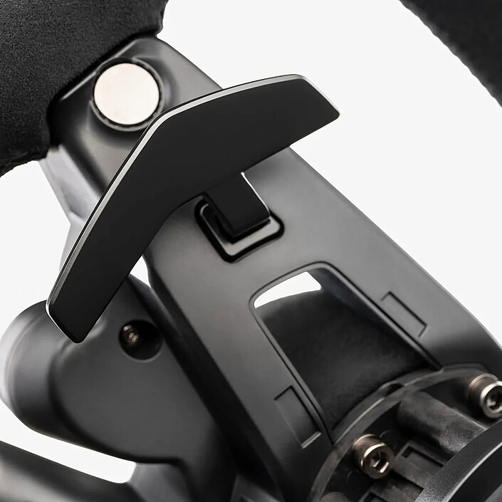 Acquista Fanatec CSL Elite Volante Porsche Vision GT