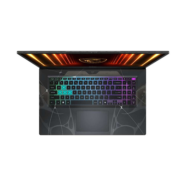 Avis MSI Cyborg 17 B2RWFKG-060FR