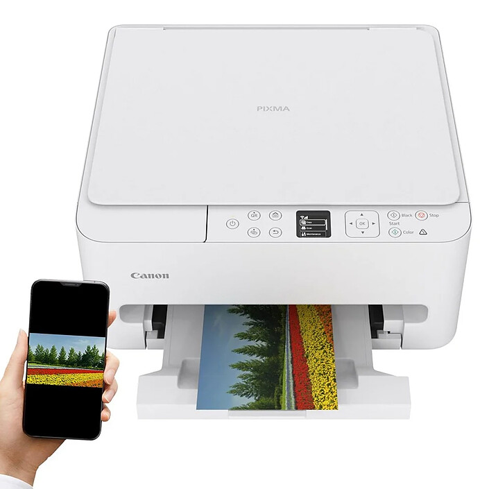 Canon PIXMA TS6550i Blanc pas cher