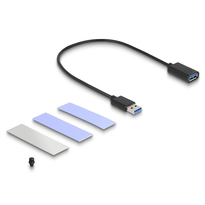 Delock Boitier USB 3.1 pour SSD M.2 NVMe pour PlayStation 5 pas cher