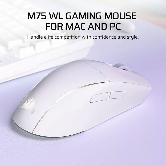 Souris PC