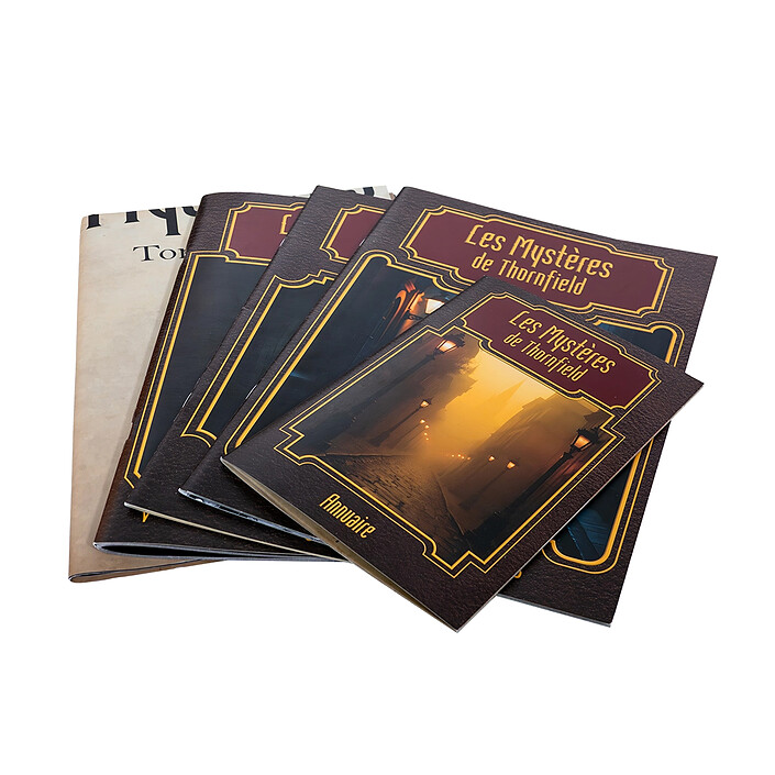 Les Mystères de Thornfield - Tome 1 : Les enquêteurs de l'ombre pas cher