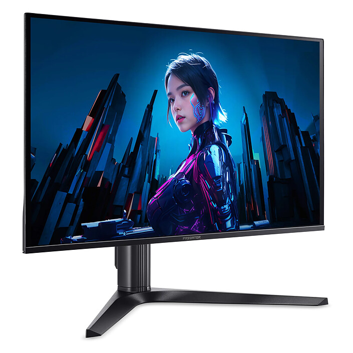 Monitor PC