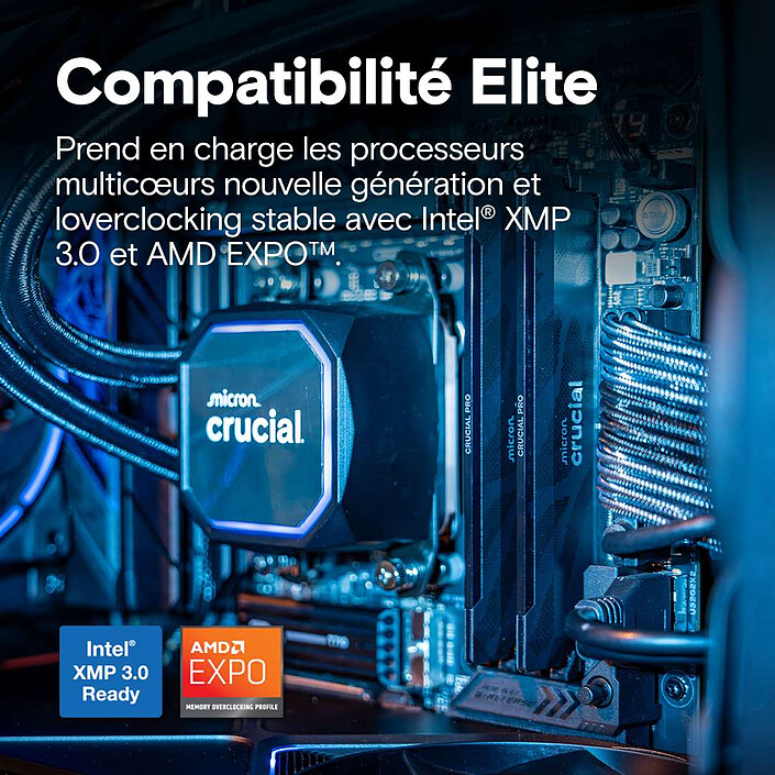 Acheter Crucial DDR5 Pro Overclocking 32 Go (2 x 16 Go) 6400 MHz CL32