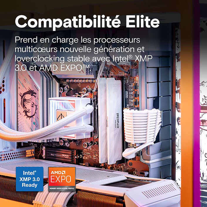 Review Crucial DDR5 Pro Overclocking 32 GB (2 x 16 GB) 6400 MHz CL32 White