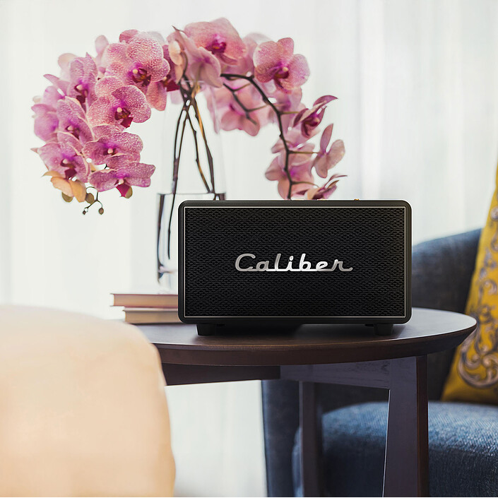 Caliber HFG411BT Argento Nero economico