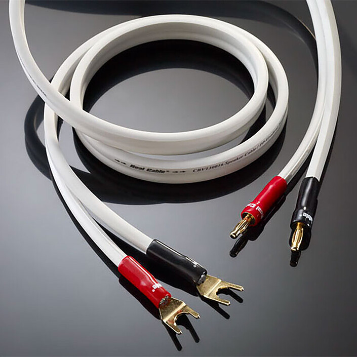 Avis Real Cable CBV130016/3M00