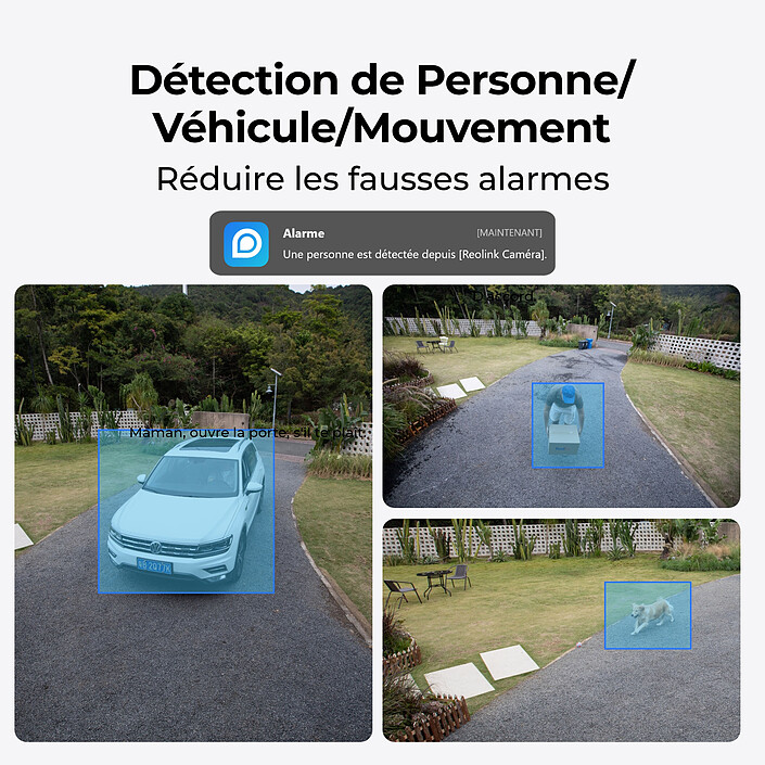 Acquista Reolink P334