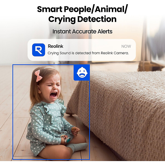 Reolink E321 economico