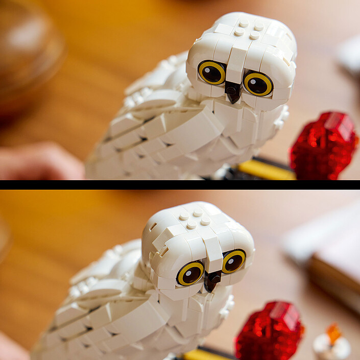 LEGO Harry Potter 76466 La scuola di magia - Edizione da collezione economico